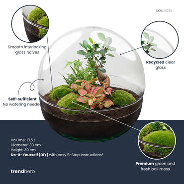 Dome Xl Bonsai - Two-Part Round Glass Terrarium - Bottle Garden Diy Kit - Ø 28 Cm ↑ 28 Cm