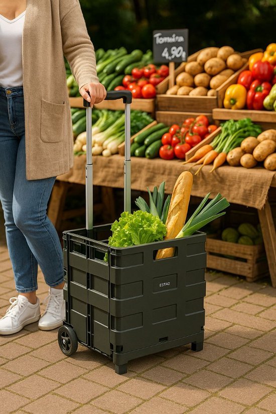 Ceruzo Folding Trolley with 30L Crates Portable Storage Cart with Collapsible Boxes - Afanaya