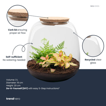 Emma Mini - Terrarium With Cork - Bottle Garden Diy Kit - Ø 19 Cm ↑ 20 Cm - Afanaya