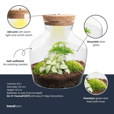 Little Joe - Terrarium With Light - Bottle Garden Diy Kit - Ø 20 Cm ↑ 22 Cm - Afanaya