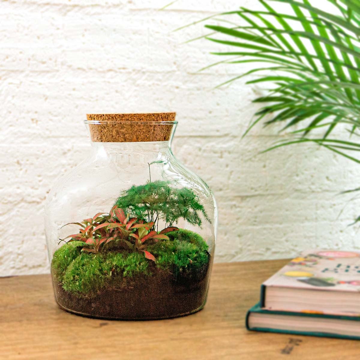 Terrarium Diy Kit Little Joe with LED 21.5 cm Glass Bottle Garden with Hedera & White Fittonia - Afanaya