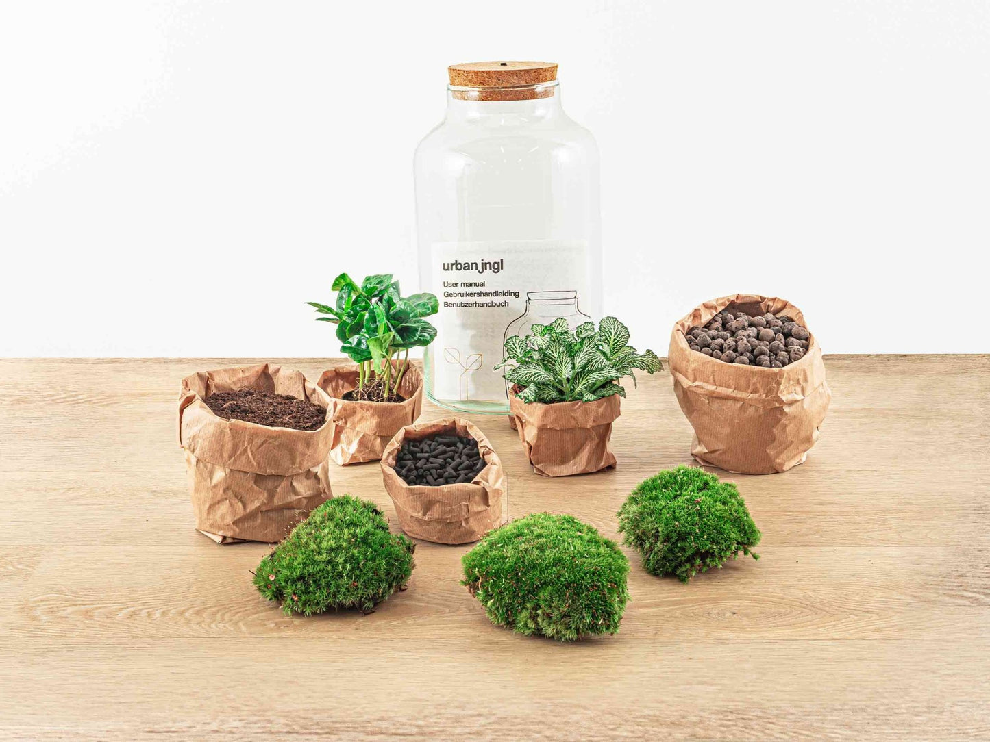 Terrarium DIY Kit Milky with Light 31 cm Glass Bottle Garden with Coffea Plant - Afanaya