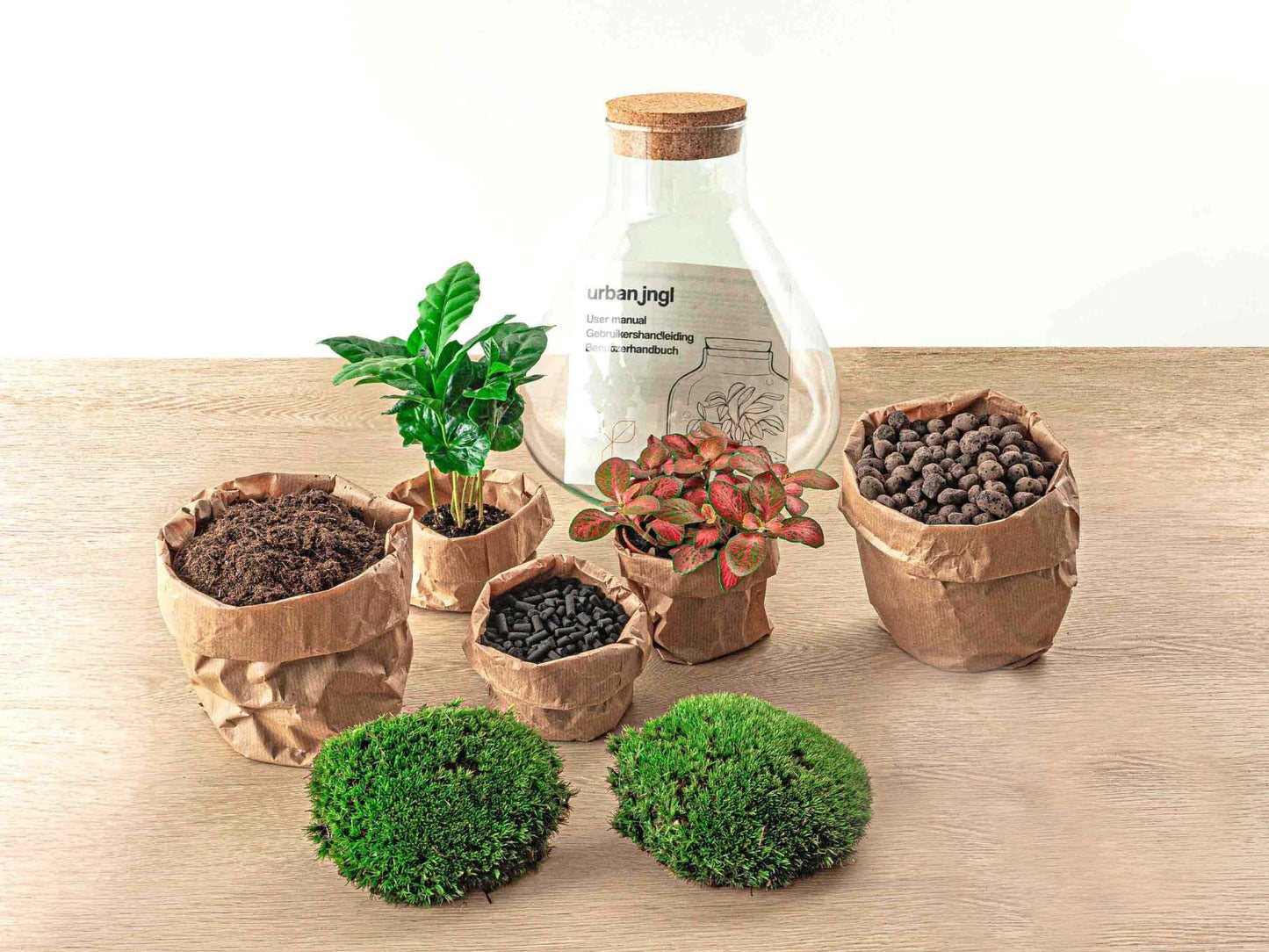 Terrarium DIY Kit Sammie Bottle Garden with Coffea Plant Indoor Green Décor Height 27 cm - Afanaya