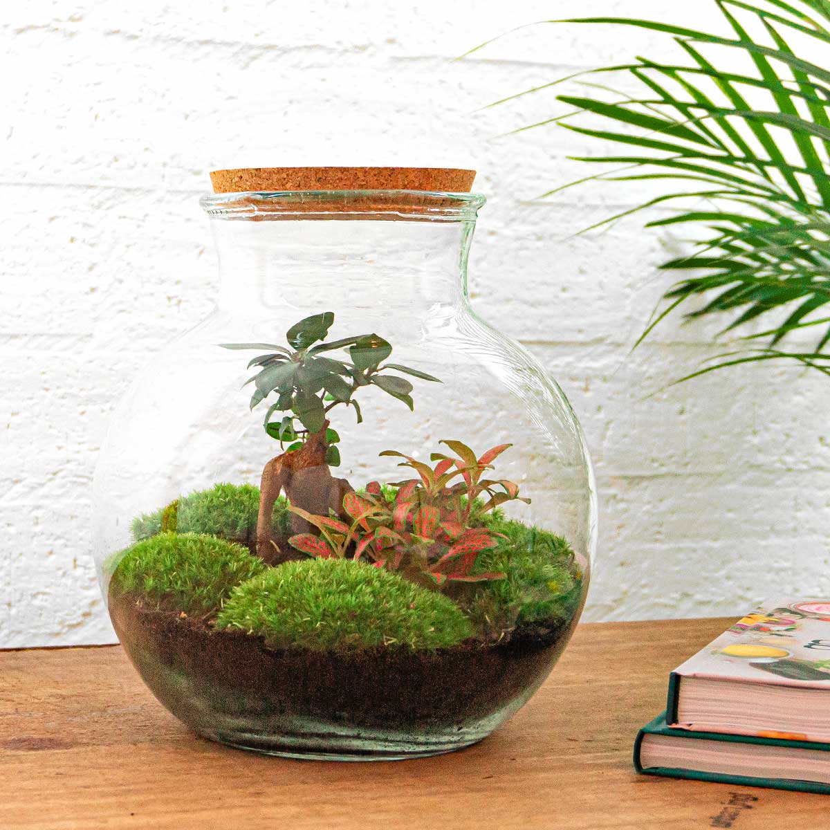 Terrarium DIY Kit Teddy Bottle Garden with Bonsai Elegant Indoor Plant Décor Height 26.5 cm - Afanaya