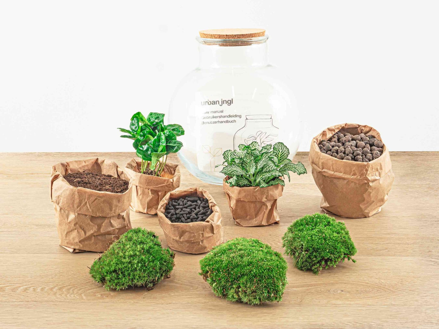 Terrarium DIY Kit Teddy Bottle Garden with Plants Elegant Indoor Green Décor Height 26.5 cm - Afanaya