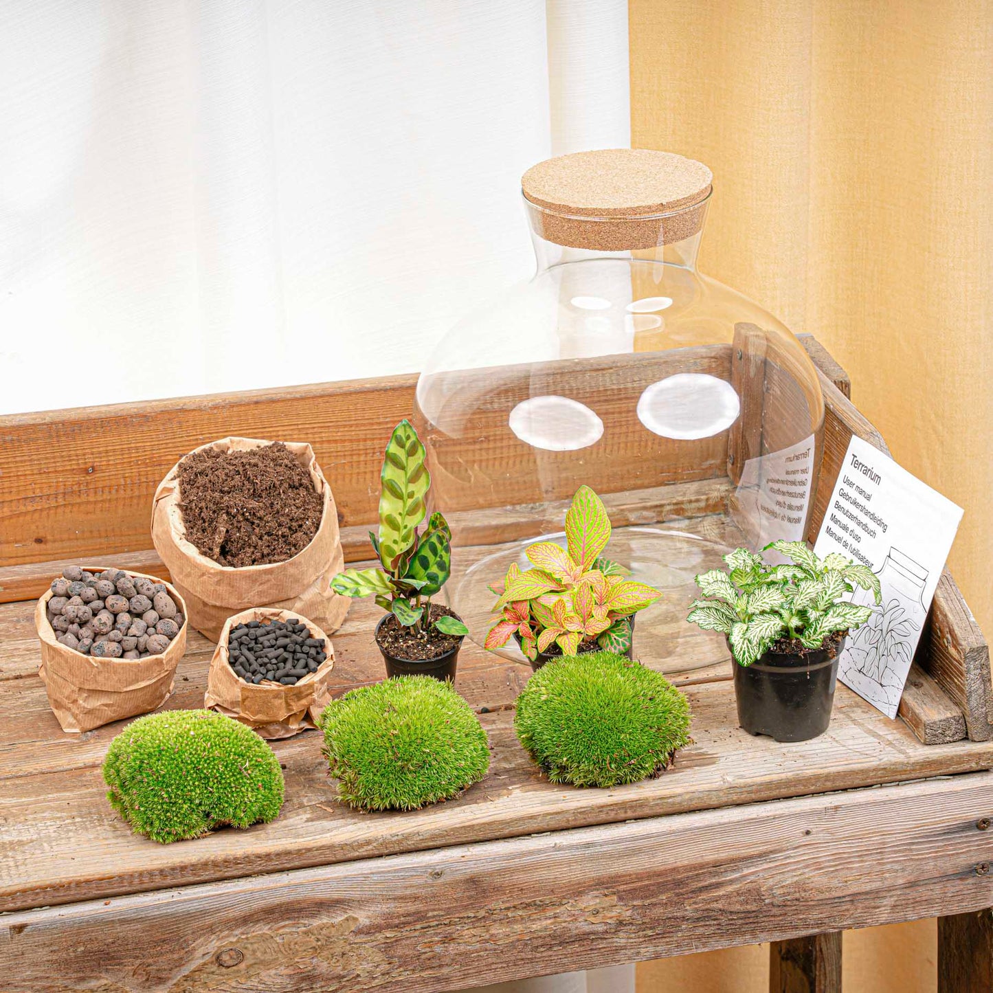 Terrarium Diy Kit - Fat Joe Red - Bottle Garden - ↑ 30 Cm