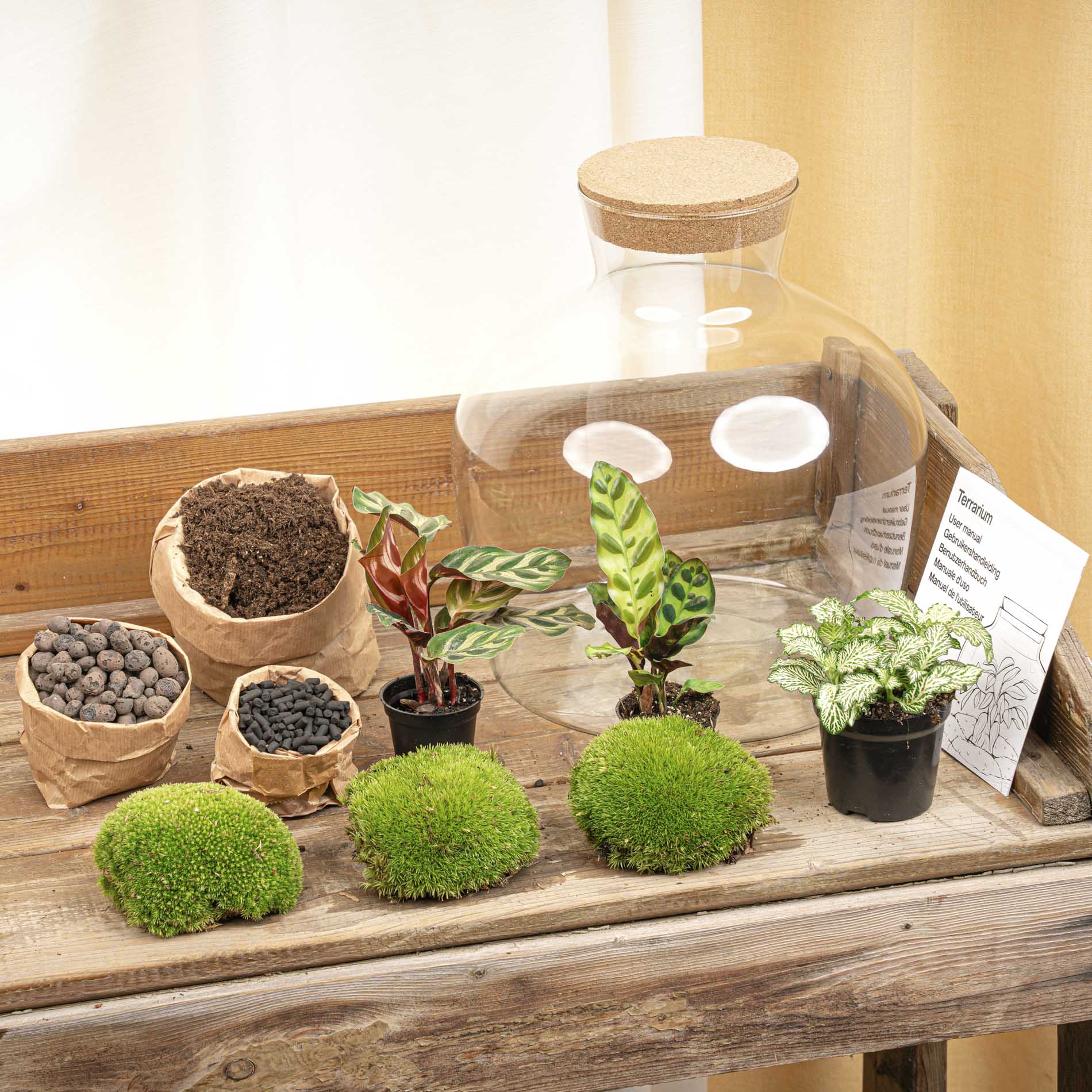 Terrarium Diy Kit - Fat Joe - Bottle Garden - ↑ 30 Cm