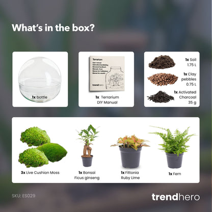 Dome Xl Bonsai - Two-Part Round Glass Terrarium - Bottle Garden Diy Kit - Ø 28 Cm ↑ 28 Cm