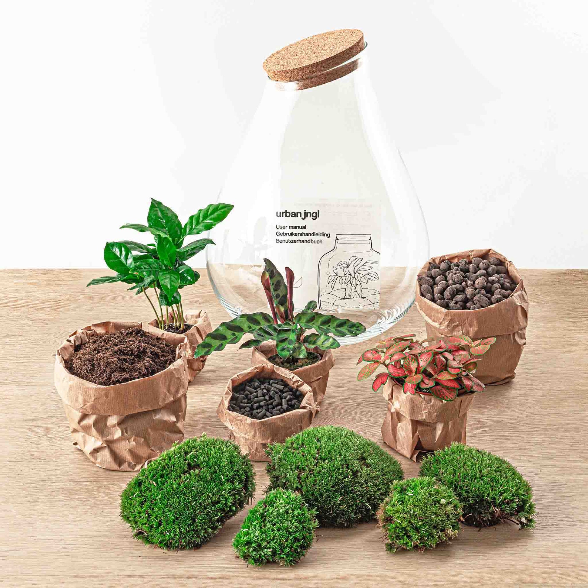 Terrarium Diy Kit - Drop Xxl Red - Bottle Garden - ↑ 43 Cm