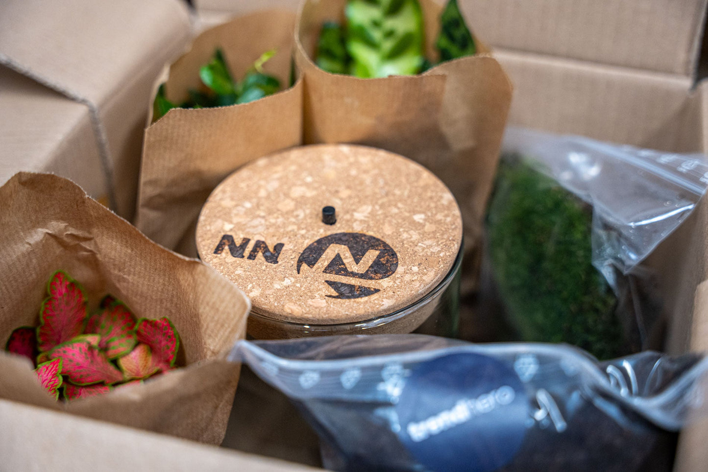 Terrarium Fat Joe - Ø 29 Cm ↑ 30 Cm - Relatiegeschenk