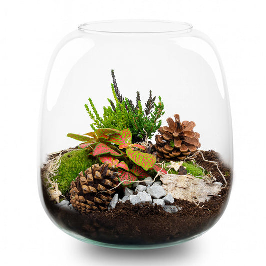Tinsel Winter Terrarium - Bottle Garden Diy Kit - Ø 19 Cm ↑ 20 Cm