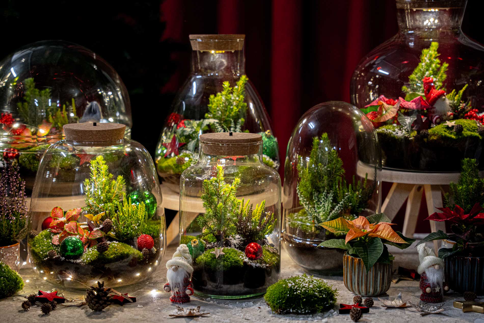 Tinsel Winter Terrarium - Bottle Garden Diy Kit - Ø 19 Cm ↑ 20 Cm