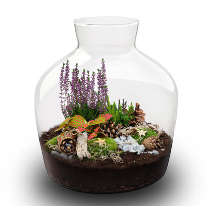 Mistle Winter & Christmas Terrarium - Bottle Garden Diy Kit - Ø 29 Cm ↑ 30