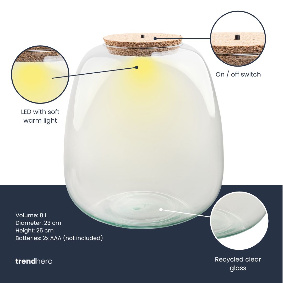 Rudolph Christmas Terrarium - Bottle Garden Diy Kit - Ø 23 Cm ↑ 25 Cm