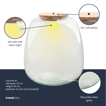 Rudolph Christmas Terrarium - Bottle Garden Diy Kit - Ø 23 Cm ↑ 25 Cm