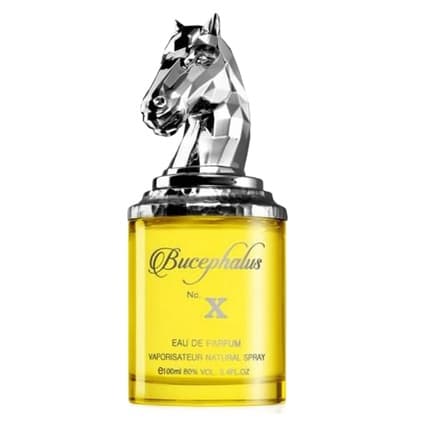 Armaf Bucephalus Nx Eau de Parfum Spray – Parfum Homme Oriental Boisé 100ml - Afanaya