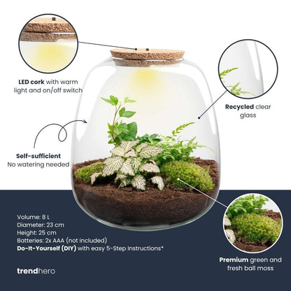 Emma - Terrarium With Light - Bottle Garden Diy Kit - Ø 23 Cm ↑ 25 Cm - Afanaya