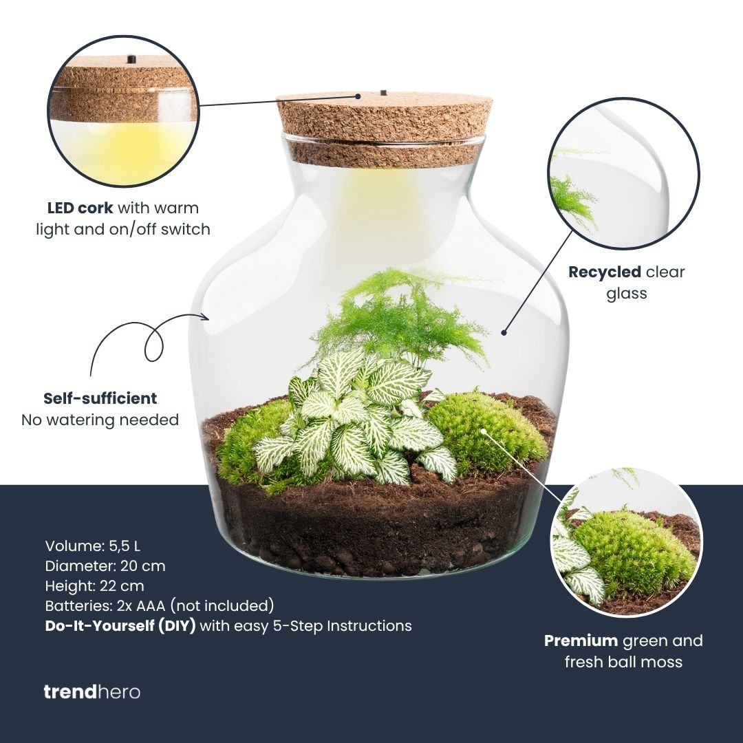 Little Joe - Terrarium With Light - Bottle Garden Diy Kit - Ø 20 Cm ↑ 22 Cm - Afanaya